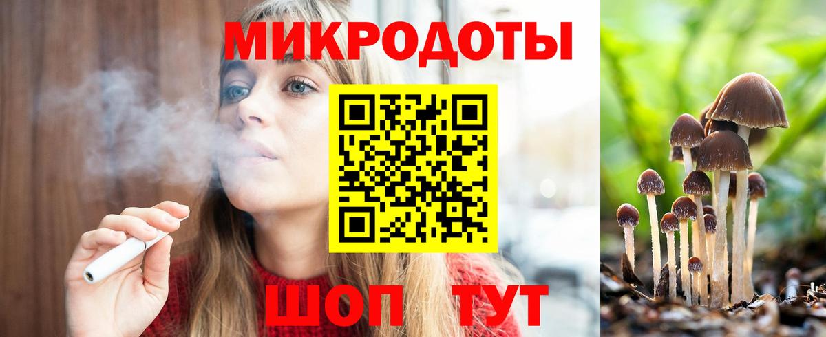 Галлюциногенные грибы Psilocybe  Вход с VPN  Кимры 